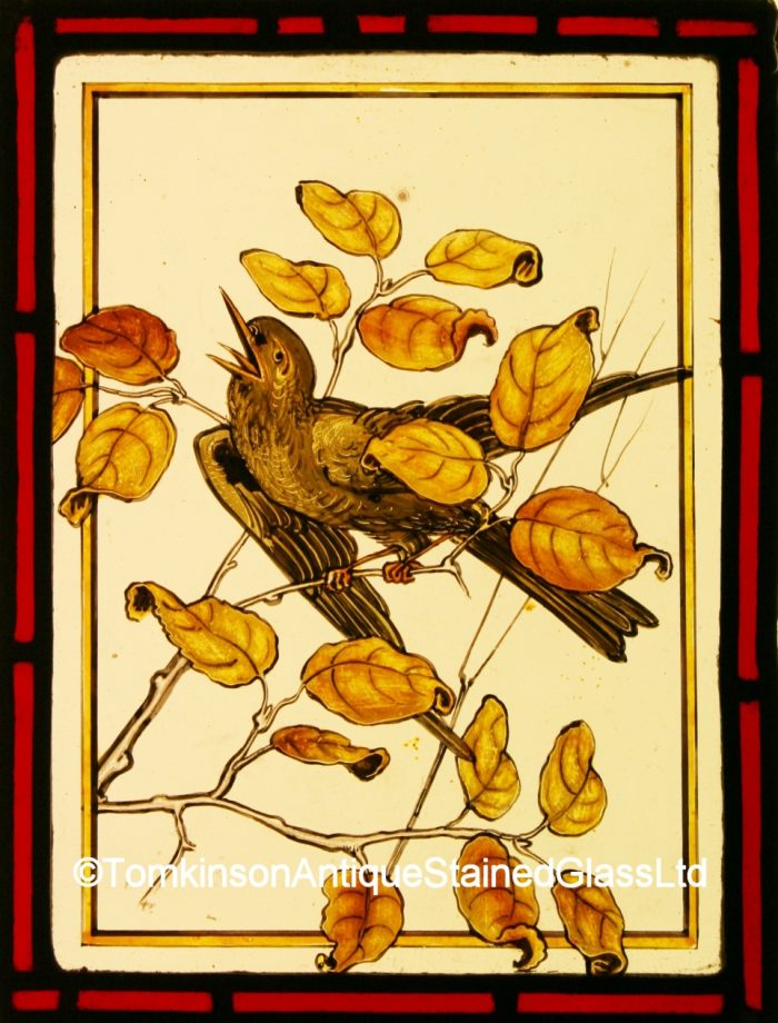 bird stained glass