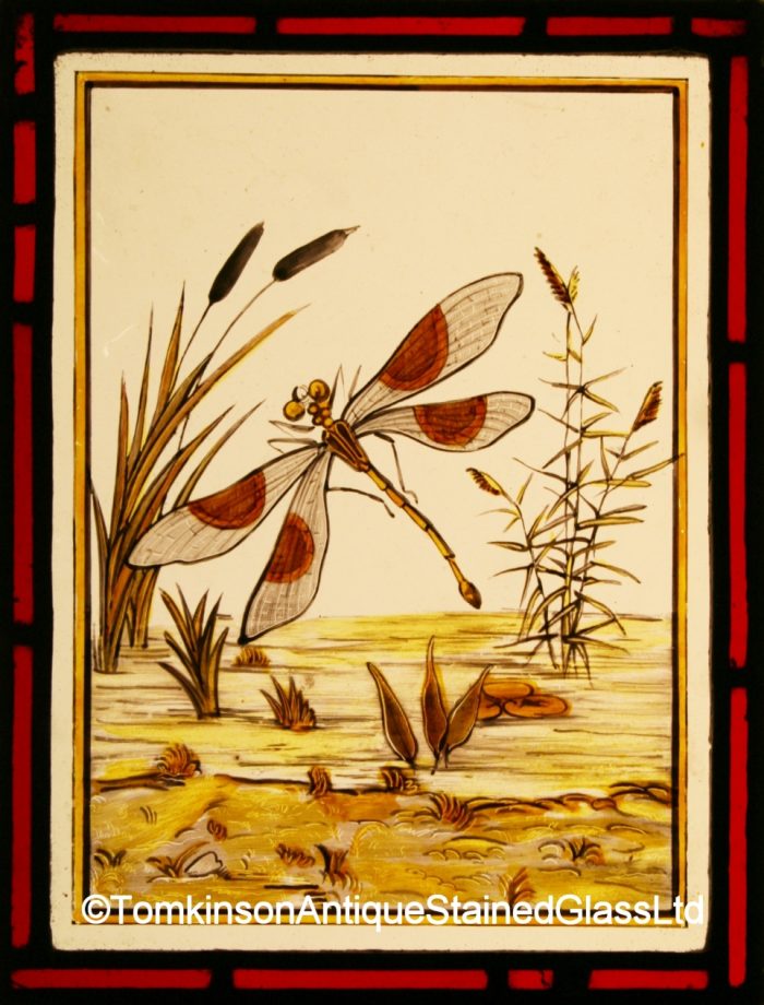 dragonfly stained glass