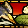 Kingfisher Stained Glass
