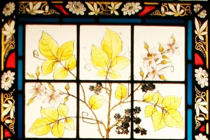 Blackberry Stained Glass