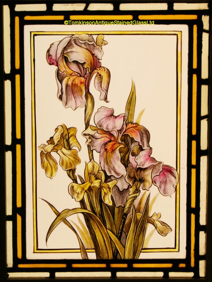 Iris - Victorian Stained Glass Window