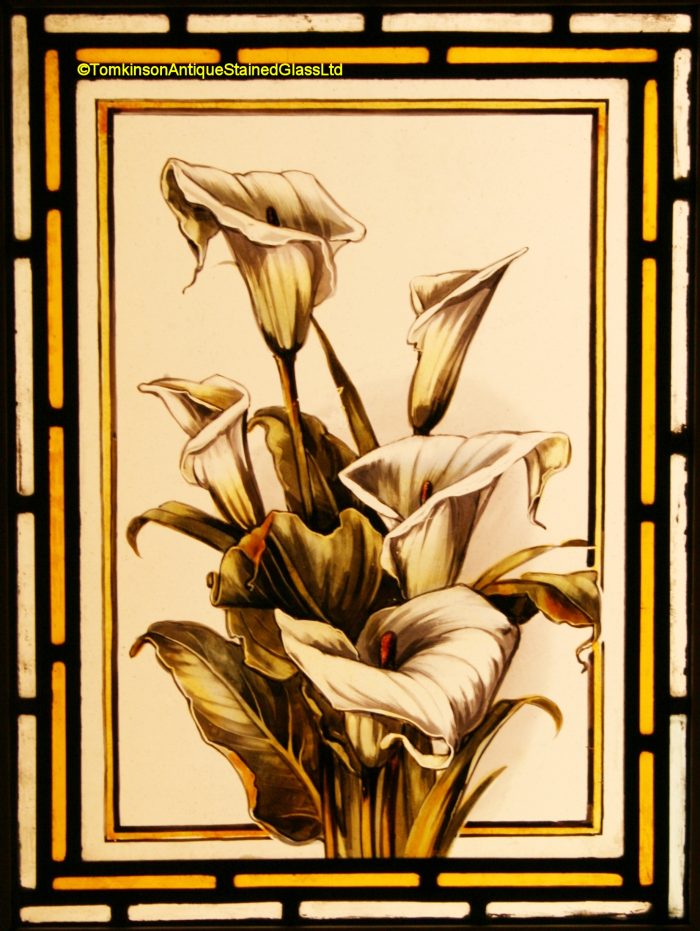 Arum-lily - Victorian Stained Glass Window