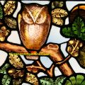 Antique Owl Stained Glass Window