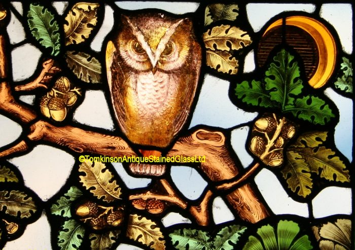 Antique Owl Stained Glass Window