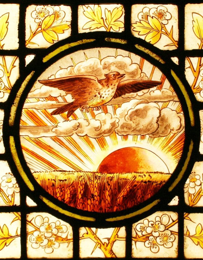 Stained Glass Windows